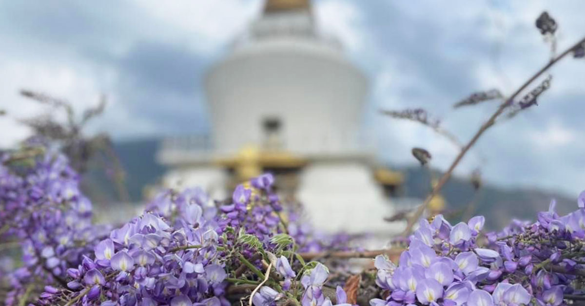 Hidden Bhutan Experiences