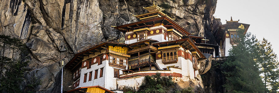 Paro