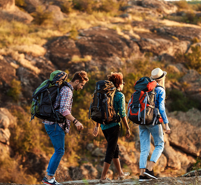 Group Tours