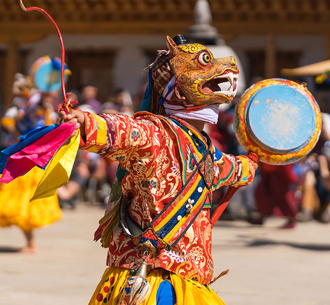 Festival Tours
