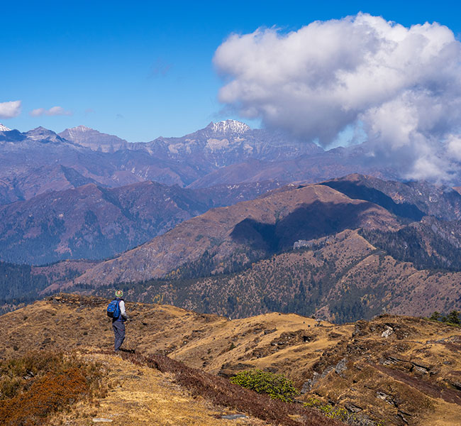 Trekking Tours